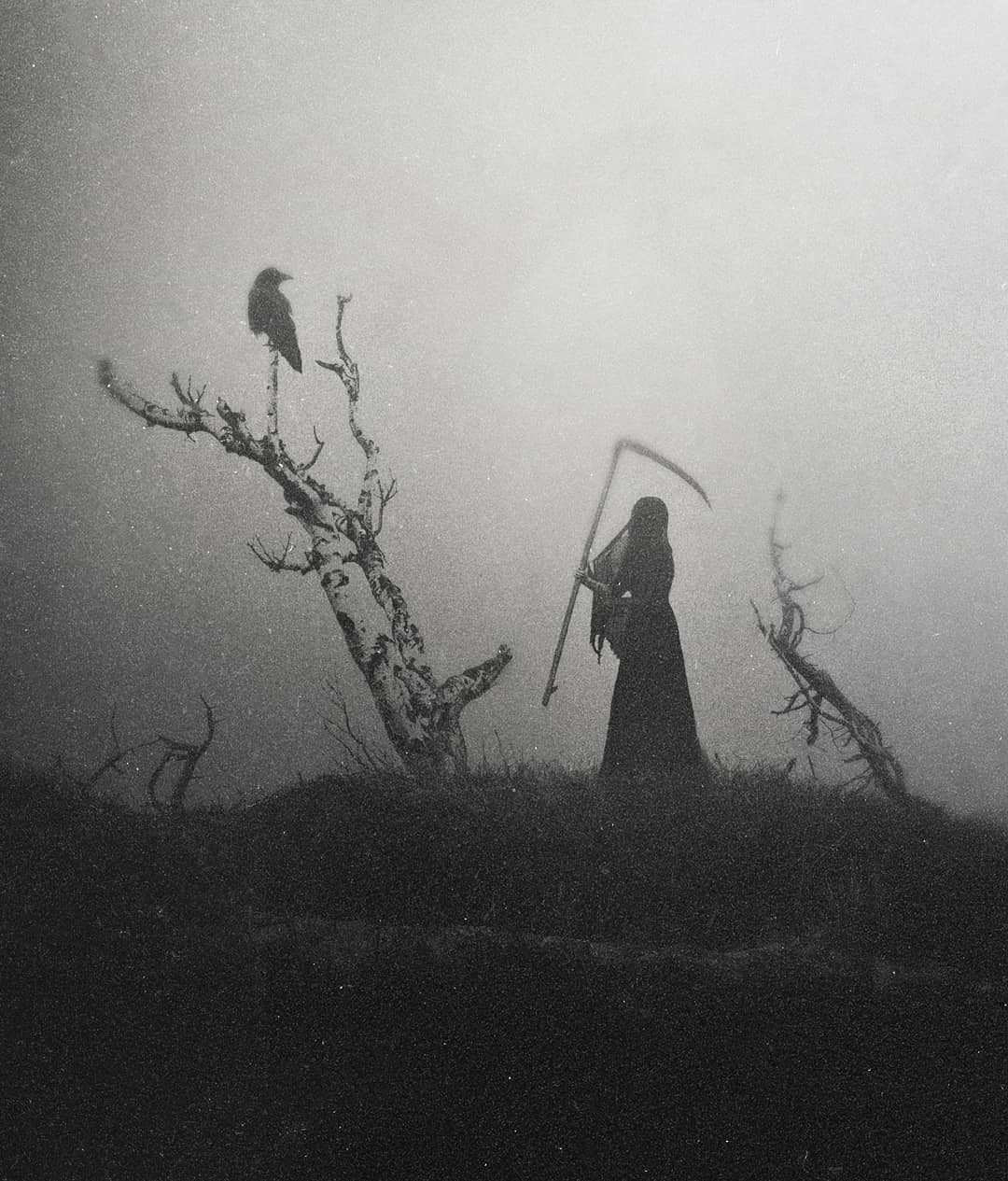 Woman of dark desires 'The raven and the reaper'