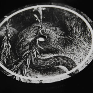 MI AMORE - Crawlin' Kingsnake LP