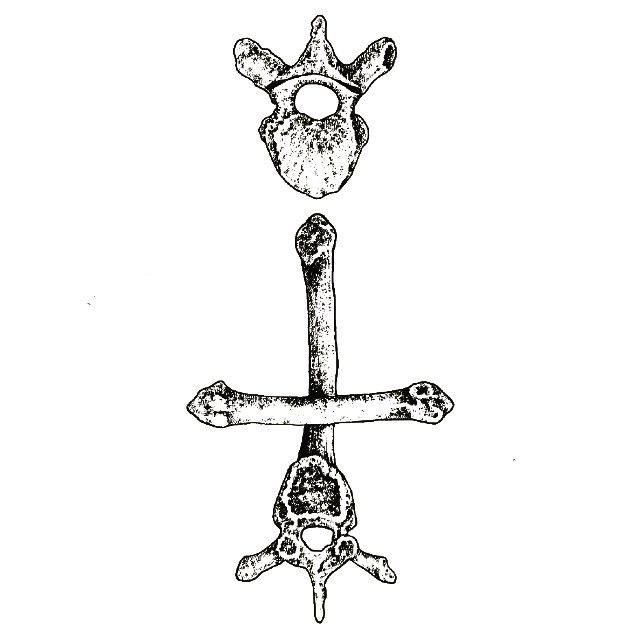 ARS ALCHYMIAE